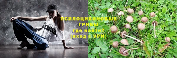 крисы Балахна