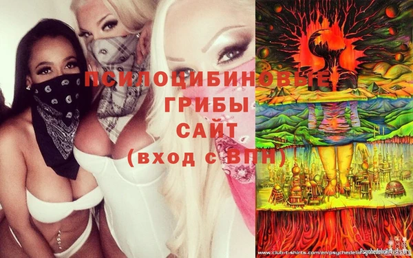 МДПВ Покровск