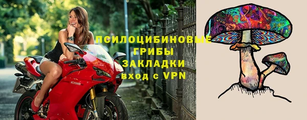 крисы Балахна
