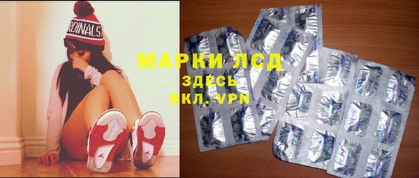 прущие грибы Баксан