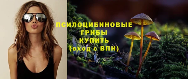 прущие грибы Баксан