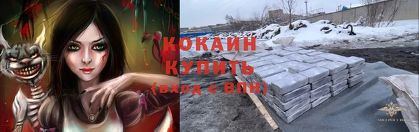 прущие грибы Баксан