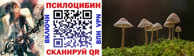 где купить наркоту  Салаир  Галлюциногенные грибы ЛСД 