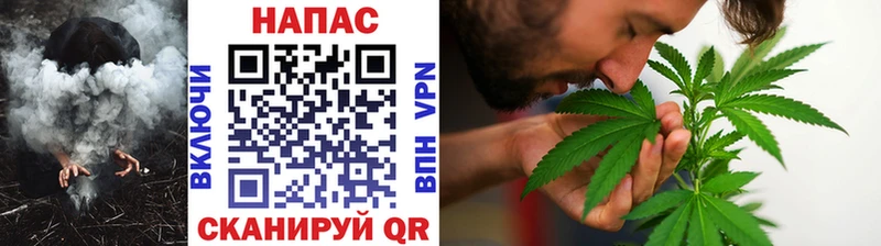 Бошки Шишки конопля  Салаир 